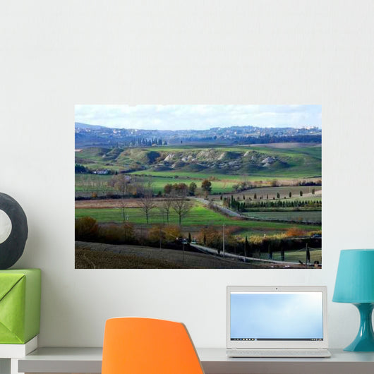Paesaggio Nelle Crete Senesi Wall Decal