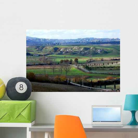 Paesaggio Nelle Crete Senesi Wall Decal
