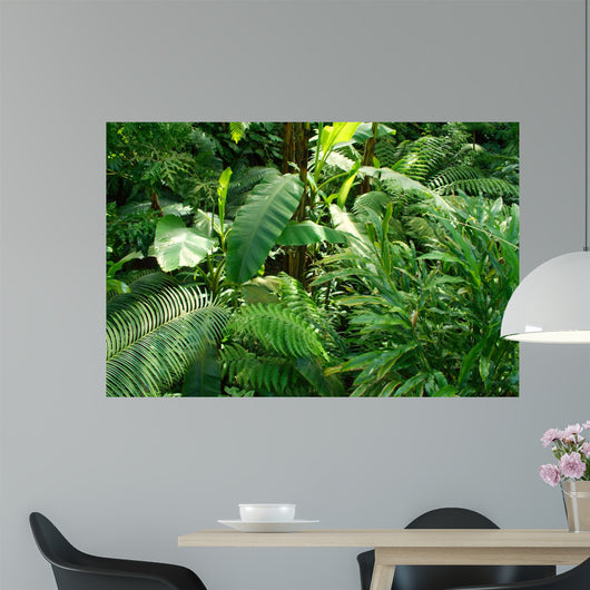 Tropical Jungle Wall Decal
