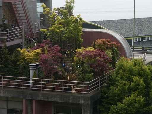 Rooftop Garden Wall Decal