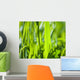 Nature Wall Mural