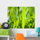 Nature Wall Mural