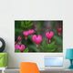 Bleeding Heart Flower Wall Mural