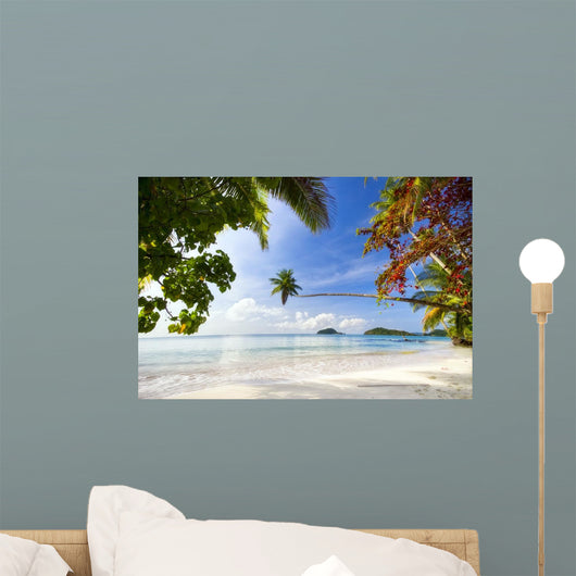 Exotic Tropical Beach