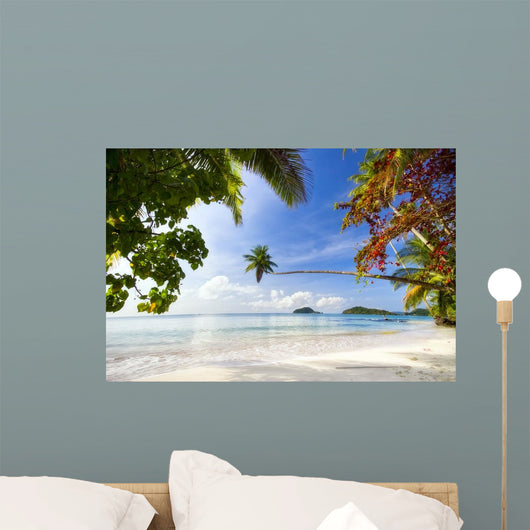 Exotic Tropical Beach