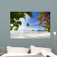 Exotic Tropical Beach