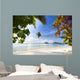 Exotic Tropical Beach