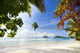 Exotic Tropical Beach
