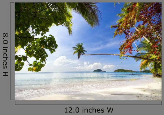 Exotic Tropical Beach