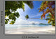 Exotic Tropical Beach