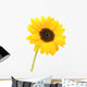 Sunflower Wall Mural