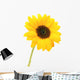 Sunflower Wall Mural