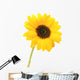 Sunflower Wall Mural