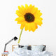 Sunflower Wall Mural
