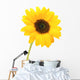 Sunflower Wall Mural
