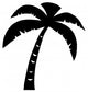 Black Palm Three Silhouette