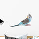 Blue Budgie Wall Decal