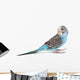 Blue Budgie Wall Decal