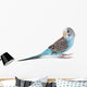 Blue Budgie Wall Decal
