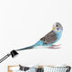 Blue Budgie Wall Decal