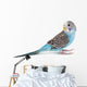 Blue Budgie Wall Decal