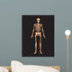 Human Body Wall Mural