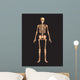 Human Body Wall Mural
