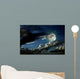 Full moon night Wall Mural