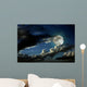 Full moon night Wall Mural