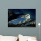 Full moon night Wall Mural