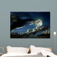 Full moon night Wall Mural
