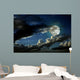 Full moon night Wall Mural