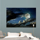 Full moon night Wall Mural