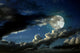 Full moon night Wall Mural