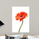 Rising Daisy Wall Decal