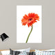 Rising Daisy Wall Decal