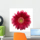 Gerbera White Wall Decal