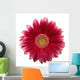 Gerbera White Wall Decal