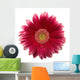 Gerbera White Wall Decal