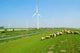 Windkraftanlagen Der K Ste Wall Decal
