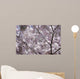 Cherry Blossom Wall Mural