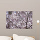 Cherry Blossom Wall Mural