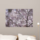 Cherry Blossom Wall Mural