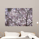 Cherry Blossom Wall Mural