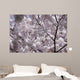 Cherry Blossom Wall Mural