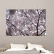 Cherry Blossom Wall Mural