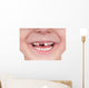 Toothless smile Wall Decal