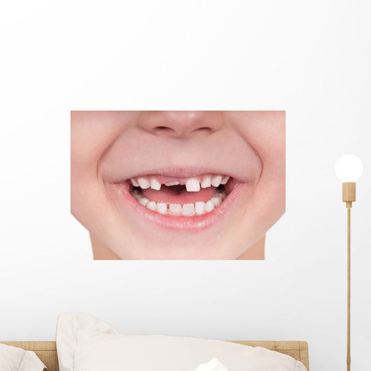 Toothless smile Wall Decal