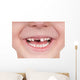 Toothless smile Wall Decal