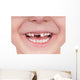 Toothless smile Wall Decal